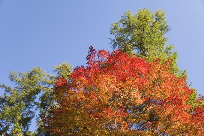 Sundance Resort Tateshina Chino Dış mekan fotoğraf